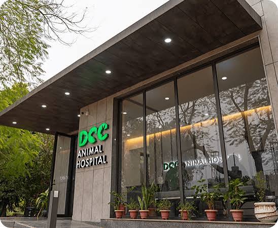 DCC Animal Hospital Building