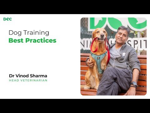 Best Dog Training Practices | Dr. Vinod Sharma