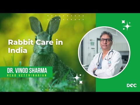 Rabbit Care Tips in India | Dr. Vinod Sharma